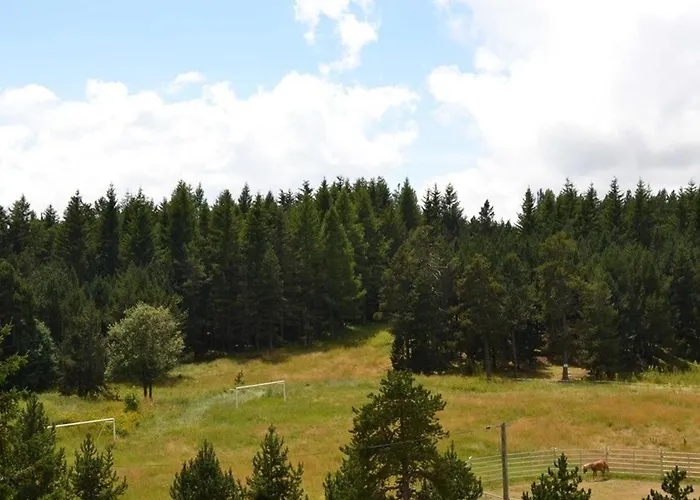 Cosy 2 Pieces Cabine, Proche Commerces Et Pistes, 6 Pers, Animaux Ok - Fr-1-592-20 * Bolquere Pyrenees 2000